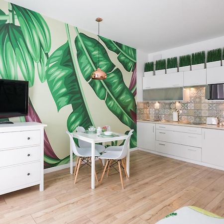 Cozy Modern Studio Green Apartment In Old Town Krasków Εξωτερικό φωτογραφία