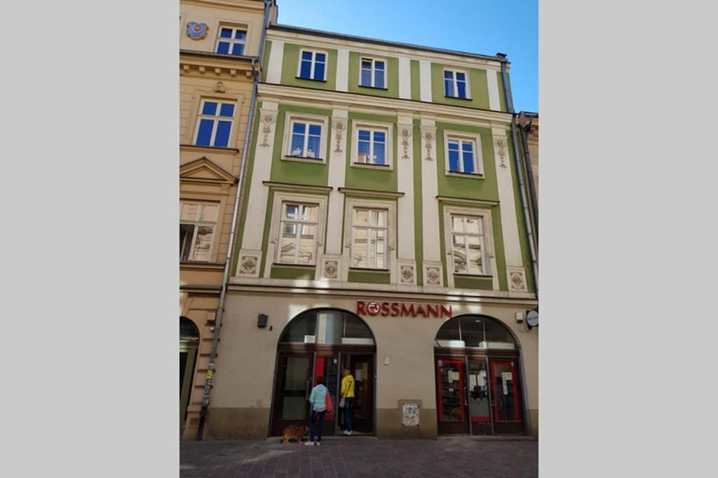 Cozy Modern Studio Green Apartment In Old Town Krasków Εξωτερικό φωτογραφία