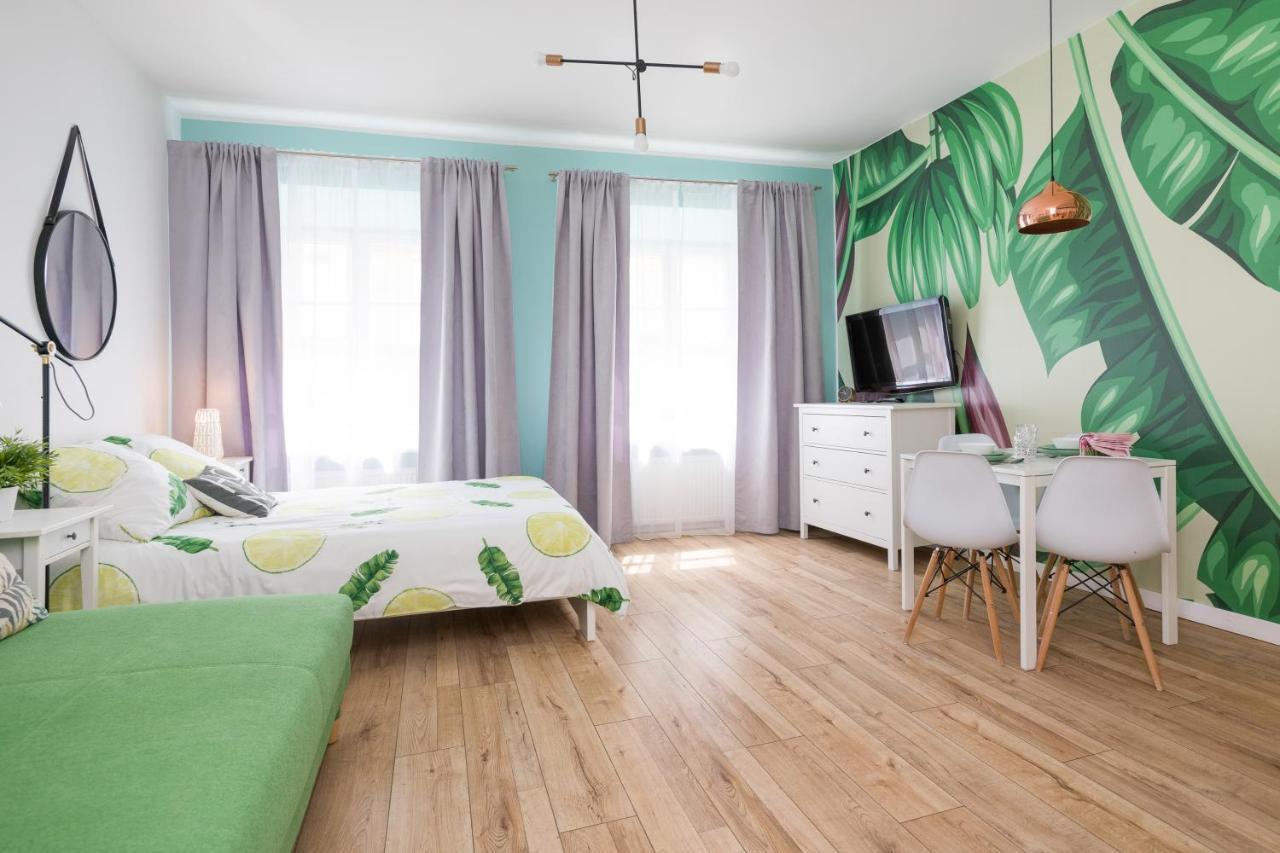 Cozy Modern Studio Green Apartment In Old Town Krasków Εξωτερικό φωτογραφία